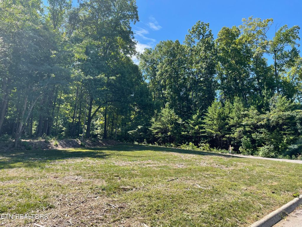 Photo of 00 Lot 43 Oak Lane, Sweetwater, TN 37874 (MLS # 1310187)