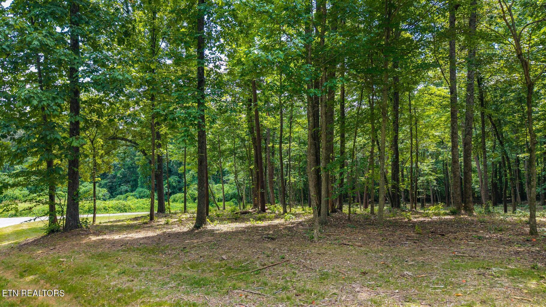 00 Lot 43 Oak Lane