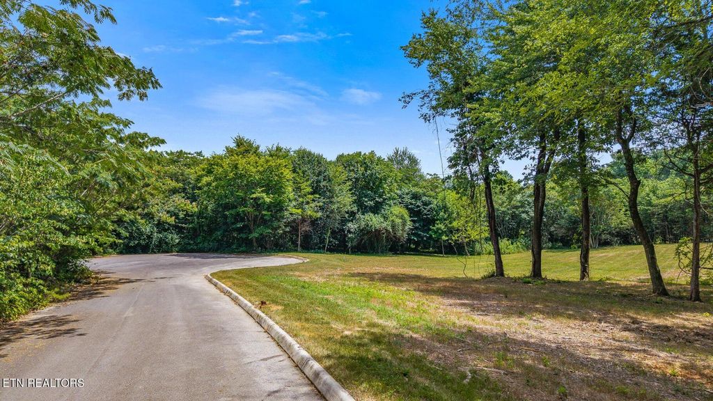 Photo of 00 Lot 43 Oak Lane, Sweetwater, TN 37874 (MLS # 1310187)