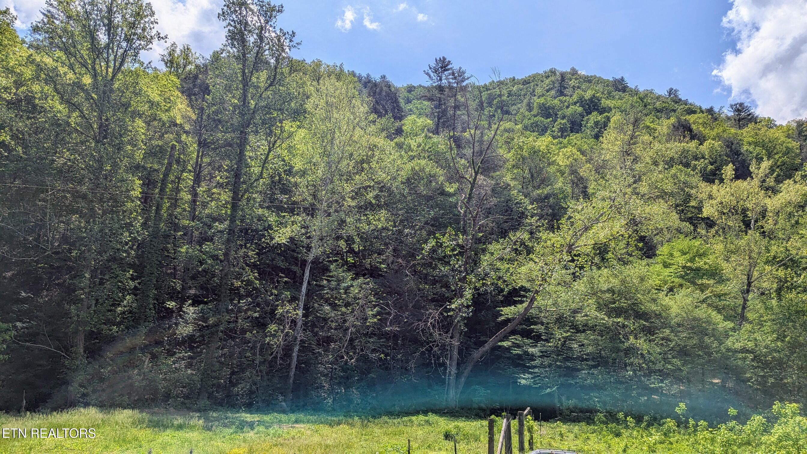 Carrs Creek (38 acres) Rd