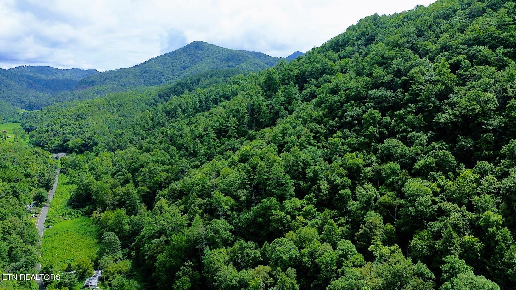 Carrs Creek (38 acres) Rd