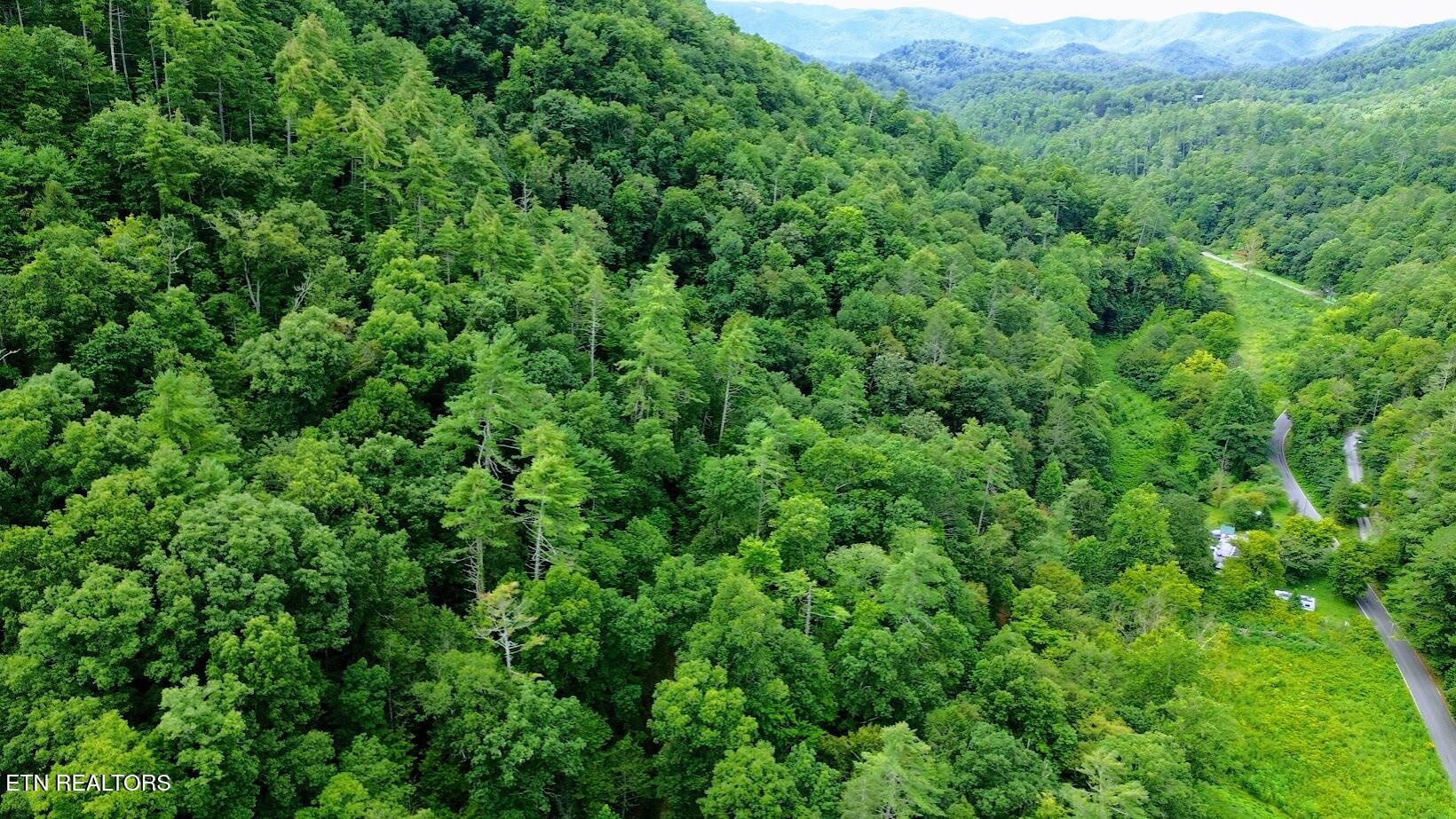 Carrs Creek (38 acres) Rd