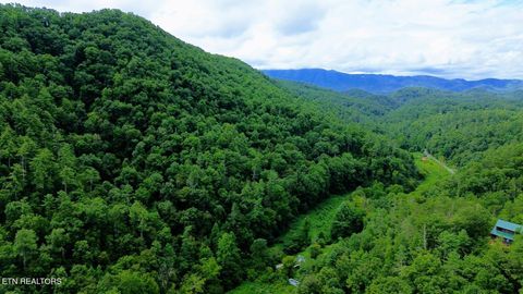 Carrs Creek (38 acres) Rd Townsend TN 37882