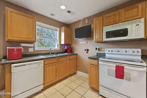 Tiny photo for 1411 Dick Lonas Rd, Knoxville, TN 37909 (MLS # 1332637)