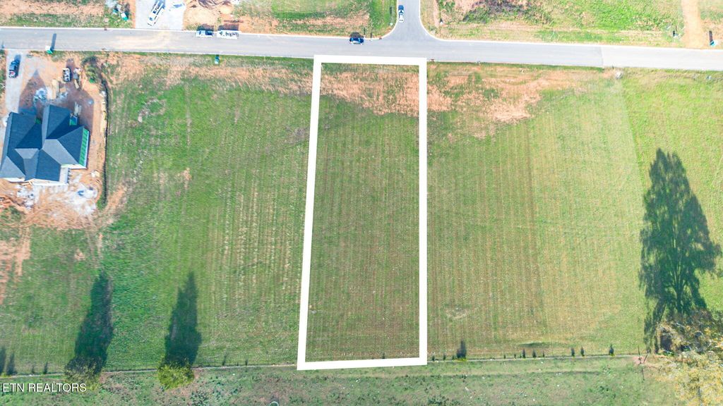 Photo of 1101 Herbert Drive, Greenback, TN 37742 (MLS # 1282386)