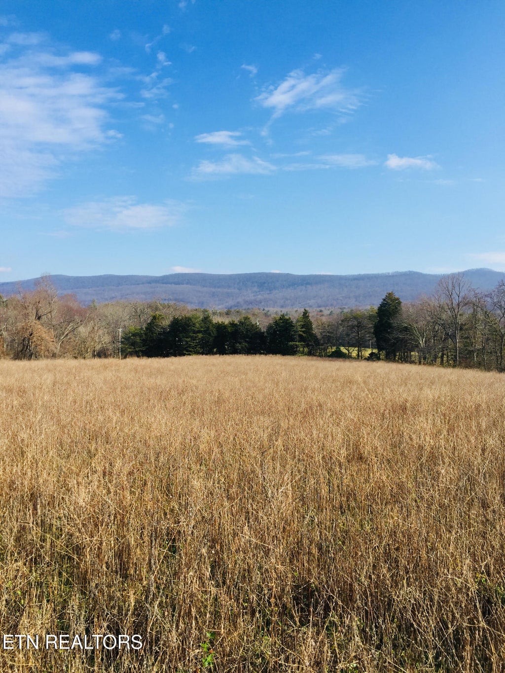 Photo of 10802 S Highway 127, Crossville, TN 38572 (MLS # 1353008)