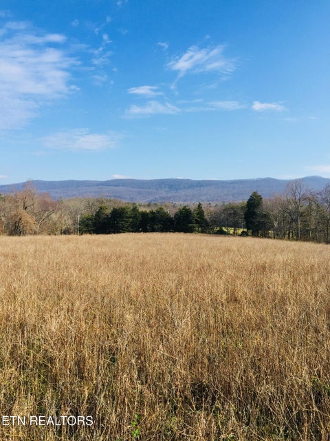 Photo of 10802 S Highway 127, Crossville, TN 38572 (MLS # 1353008)