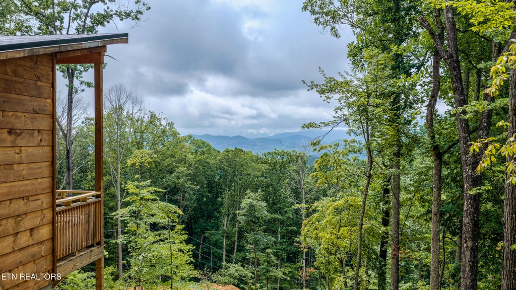 Photo of 21222128 Bluff Mountain Rd, Sevierville, TN 37876 (MLS # 1353068)