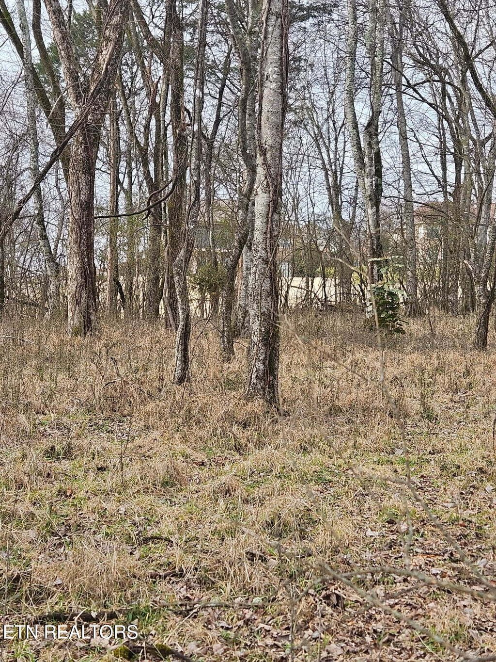 Photo of Kanati Tr, Vonore, TN 37885 (MLS # 1288646)