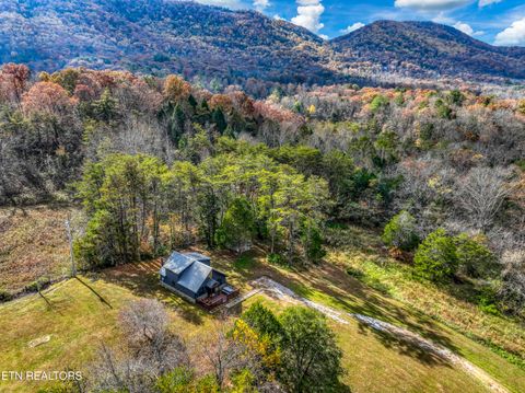Photo of 133 Westwing Cave Rd, Townsend, TN 37882 (MLS # 1321544)