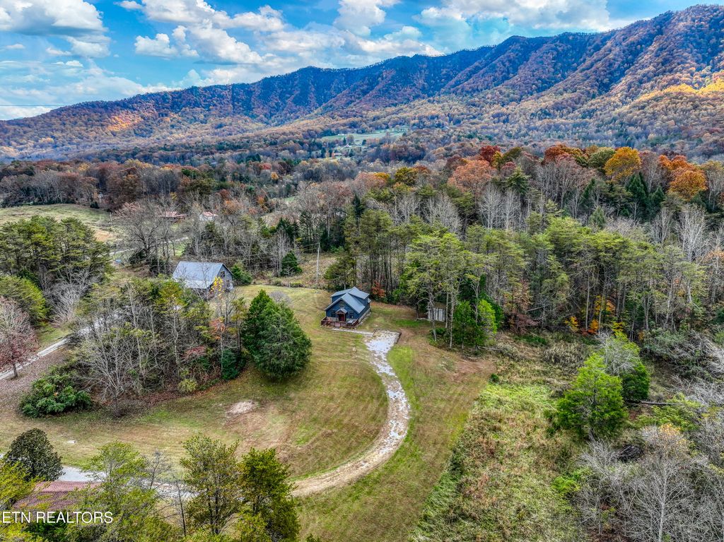 Photo of 133 Westwing Cave Rd, Townsend, TN 37882 (MLS # 1321544)