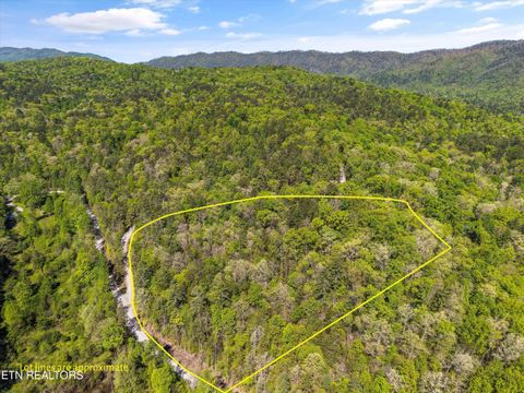 Photo of 1820 Oakwood Rd, Walland, TN 37886 (MLS # 1337528)