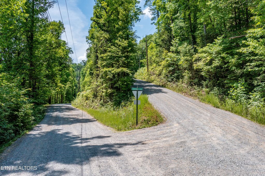Photo of 34 Chilhowee Loop, Walland, TN 37886 (MLS # 1264066)