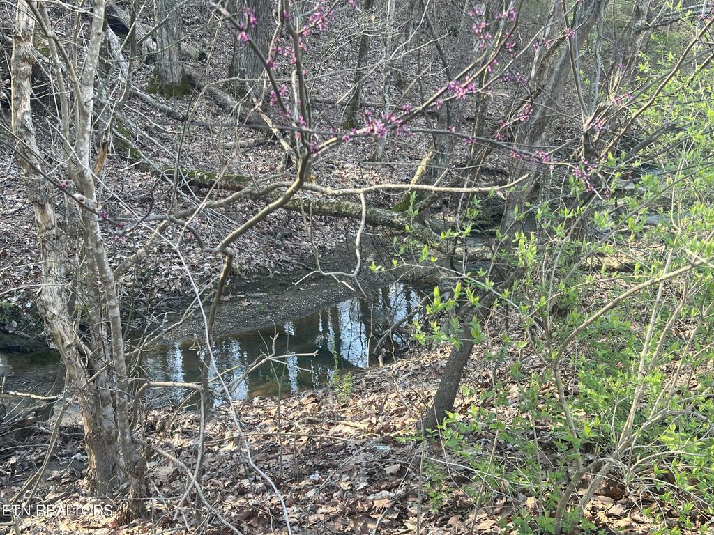 Photo of 0 Rutledge Pike, Corryton, TN 37721 (MLS # 1257484)
