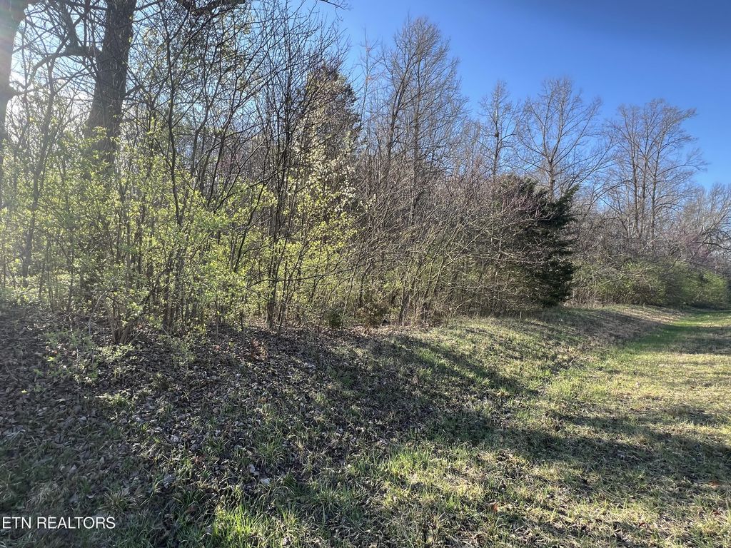 Photo of 0 Rutledge Pike, Corryton, TN 37721 (MLS # 1257484)