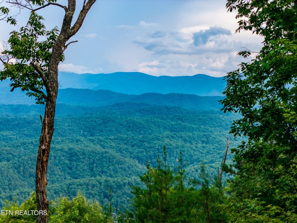 Photo of Lot 45 Tower Rd, Tallassee, TN 37878 (MLS # 1348748)