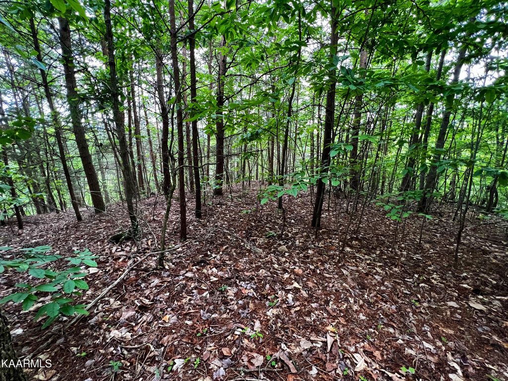 Photo of 236 Whistle Valley Road Rd, New Tazewell, TN 37825 (MLS # 1228591)