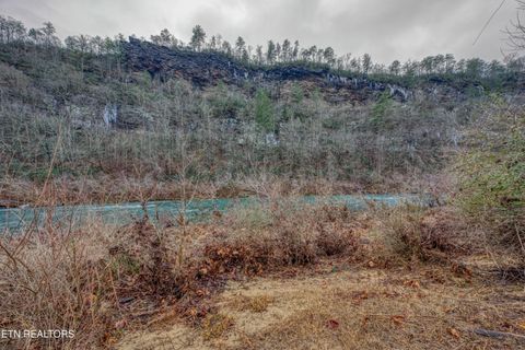 Tiny photo for 113 Cherokee Drive, Harriman, TN 37748 (MLS # 1328758)