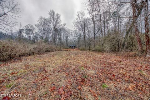 Tiny photo for 113 Cherokee Drive, Harriman, TN 37748 (MLS # 1328758)