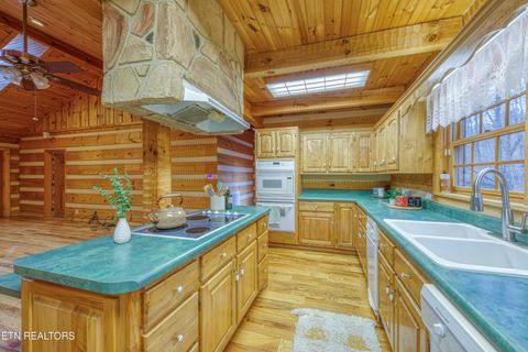 Tiny photo for 113 Cherokee Drive, Harriman, TN 37748 (MLS # 1328758)