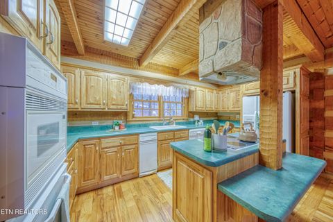 Tiny photo for 113 Cherokee Drive, Harriman, TN 37748 (MLS # 1328758)