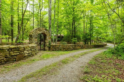 1854 Catusa Rd Wartburg TN 37887