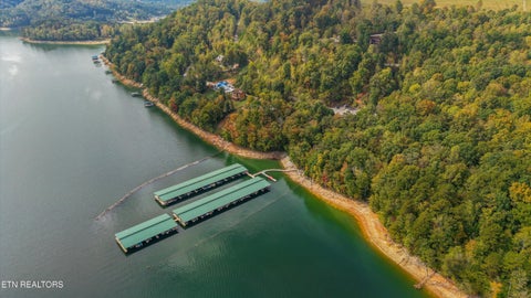 Tiny photo for 119 Larimar Lane, New Tazewell, TN 37825 (MLS # 1359639)