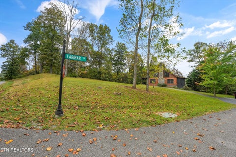 Tiny photo for 119 Larimar Lane, New Tazewell, TN 37825 (MLS # 1359639)