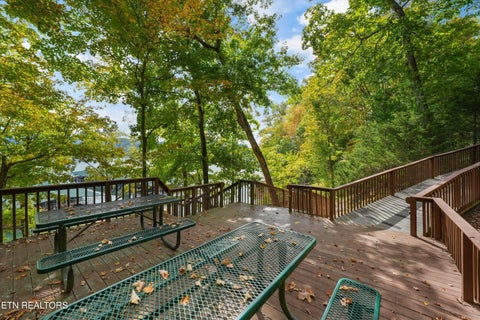 Tiny photo for 119 Larimar Lane, New Tazewell, TN 37825 (MLS # 1359639)