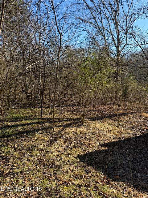 Tiny photo for 2228 Keller Bend Rd, Knoxville, TN 37922 (MLS # 1326266)