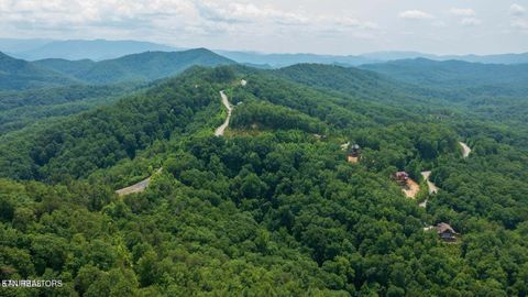 Tiny photo for 60 Longhunter Lane, Sevierville, TN 37862 (MLS # 1330470)