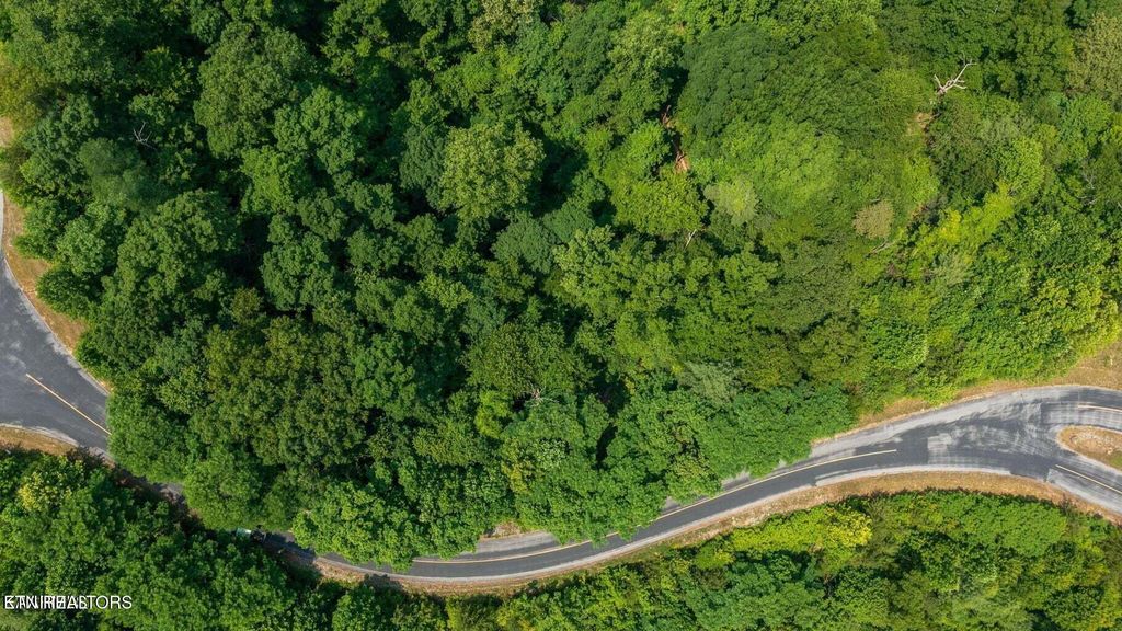 Photo of 60 Longhunter Lane, Sevierville, TN 37862 (MLS # 1330470)