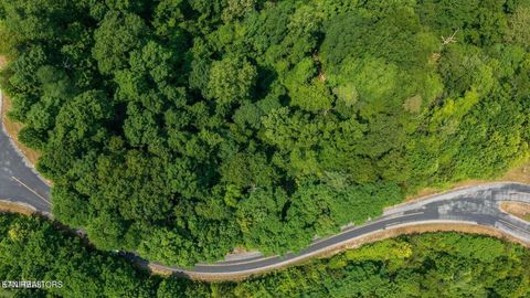 Tiny photo for 60 Longhunter Lane, Sevierville, TN 37862 (MLS # 1330470)