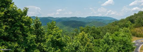 Tiny photo for 60 Longhunter Lane, Sevierville, TN 37862 (MLS # 1330470)
