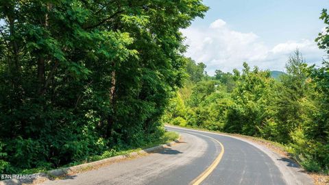 Tiny photo for 60 Longhunter Lane, Sevierville, TN 37862 (MLS # 1330470)