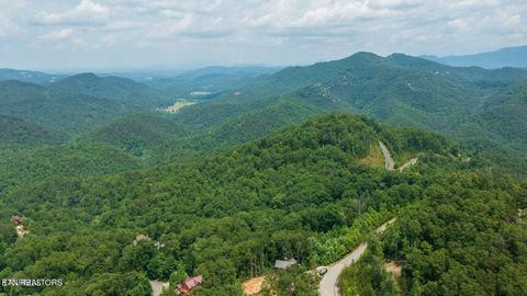 Tiny photo for 60 Longhunter Lane, Sevierville, TN 37862 (MLS # 1330470)