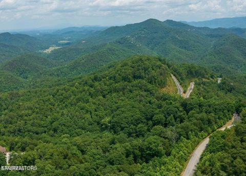 Tiny photo for 60 Longhunter Lane, Sevierville, TN 37862 (MLS # 1330470)