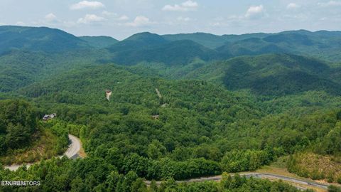 Tiny photo for 60 Longhunter Lane, Sevierville, TN 37862 (MLS # 1330470)