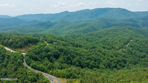 Tiny photo for 60 Longhunter Lane, Sevierville, TN 37862 (MLS # 1330470)