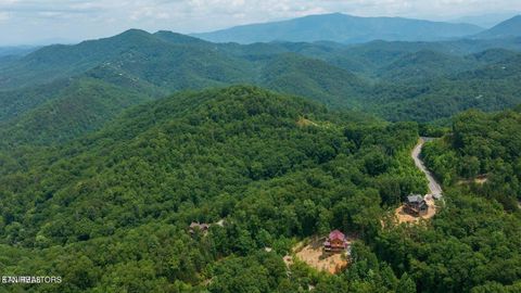 Tiny photo for 60 Longhunter Lane, Sevierville, TN 37862 (MLS # 1330470)