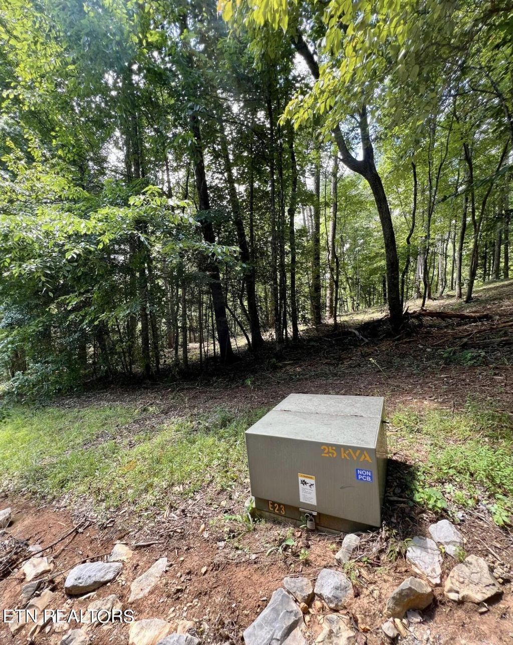 Photo of 215 Old Cove Rd, Walland, TN 37886 (MLS # 1257446)