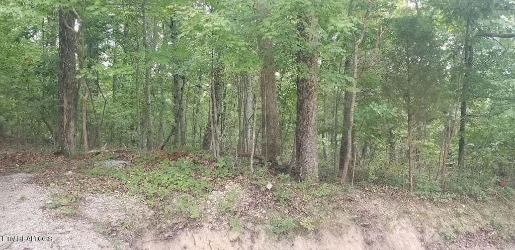 Photo of 0 Chestnut Drive, Spring City, TN 37381 (MLS # 1272841)