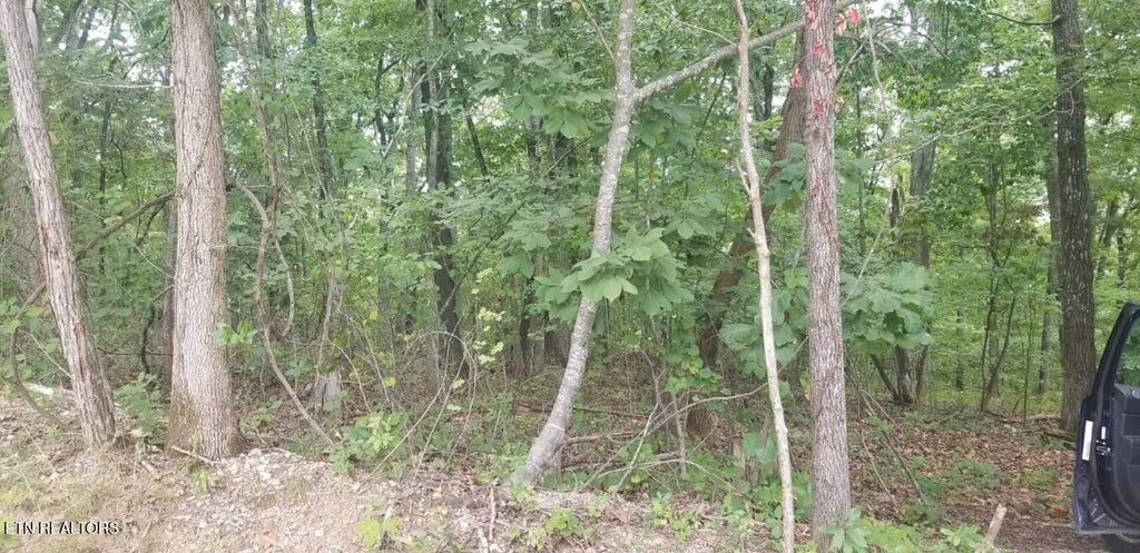 Photo of 0 Chestnut Drive, Spring City, TN 37381 (MLS # 1272841)