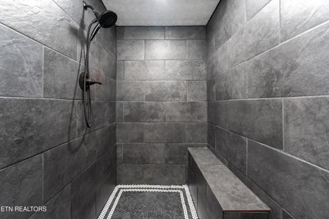 Tiny photo for 257 N Dark Hollow Rd, Andersonville, TN 37705 (MLS # 1321623)