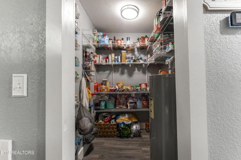 Tiny photo for 257 N Dark Hollow Rd, Andersonville, TN 37705 (MLS # 1321623)