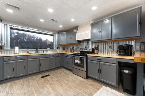 Tiny photo for 257 N Dark Hollow Rd, Andersonville, TN 37705 (MLS # 1321623)