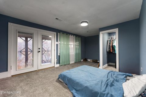 Tiny photo for 257 N Dark Hollow Rd, Andersonville, TN 37705 (MLS # 1321623)