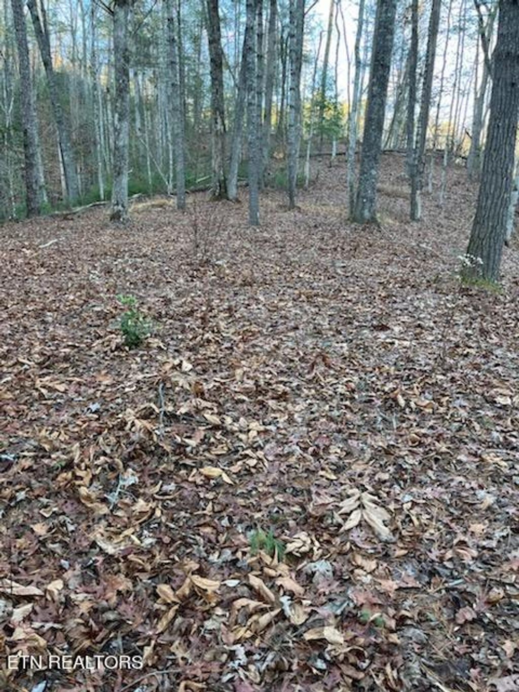 Photo of Overlook View Rd, Walland, TN 37886 (MLS # 1247667)