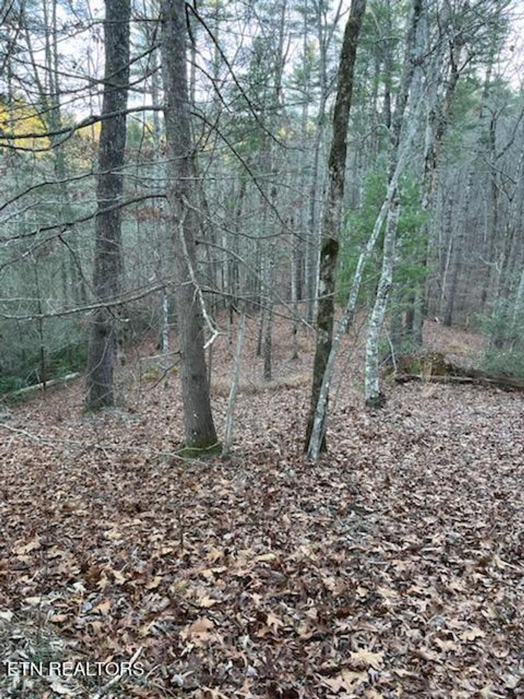Photo of Overlook View Rd, Walland, TN 37886 (MLS # 1247667)