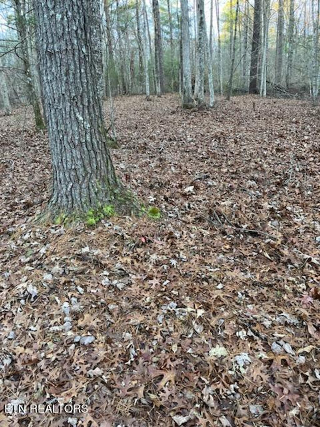 Photo of Overlook View Rd, Walland, TN 37886 (MLS # 1247667)